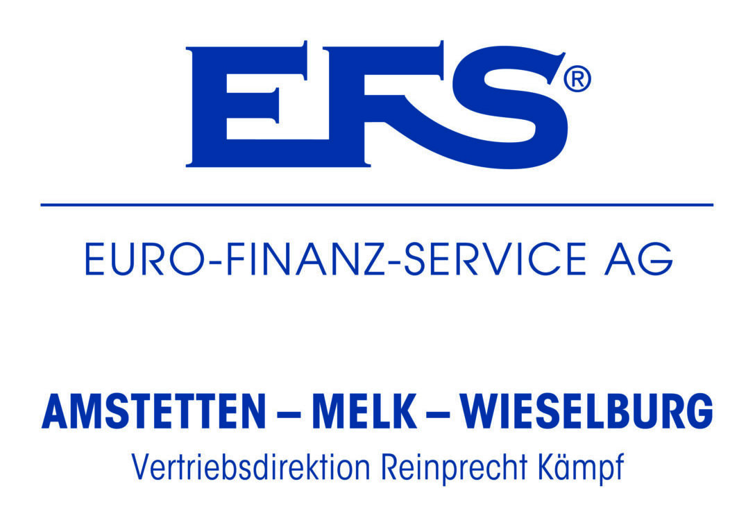 Logo Hauptsponsor EFS
