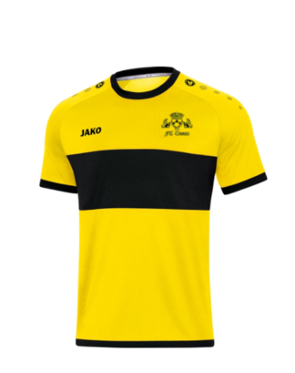 Auswärtstrikot